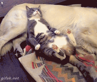 하 생각해보니 빡치네.gif | 인스티즈