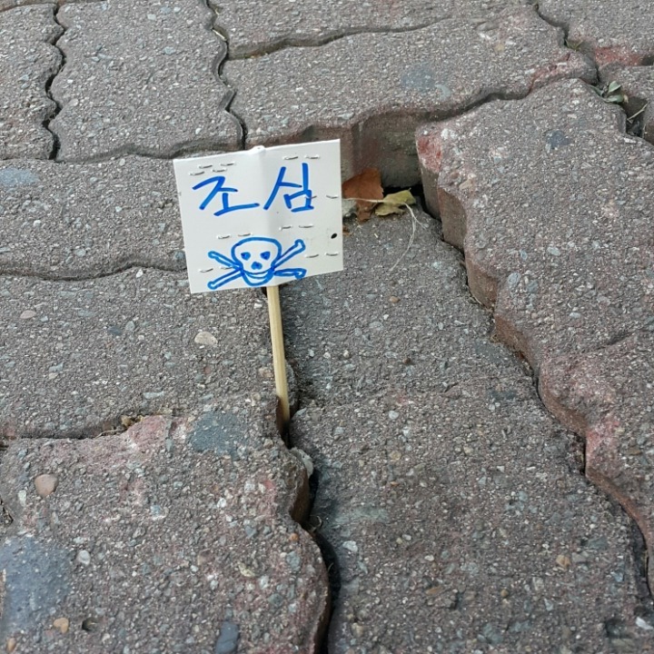 센스쟁이 이미지