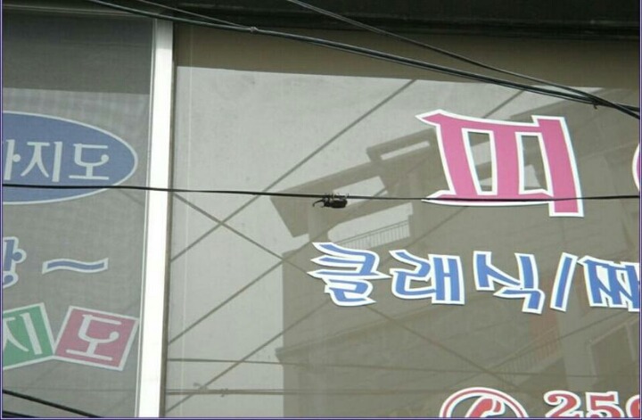 택배 날아간 사건 레전드 | 인스티즈
