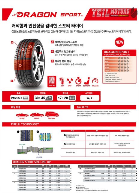 드레곤 스포츠 이미지