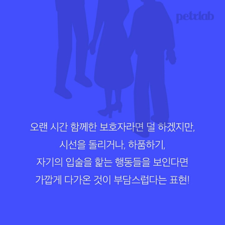 강아지는 왜 입으로 부는 바람을 싫어할까? | 인스티즈