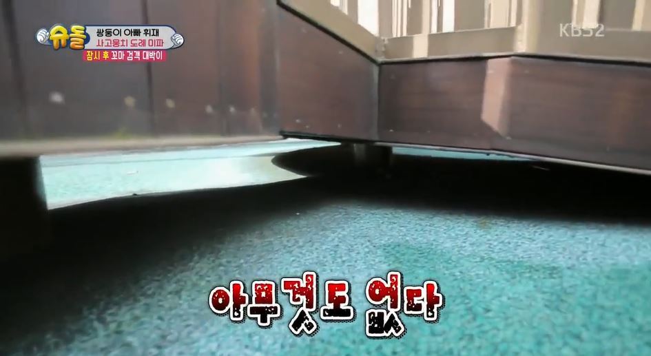 서언이 서준이 보면서 놀란 아이들의 감정 | 인스티즈