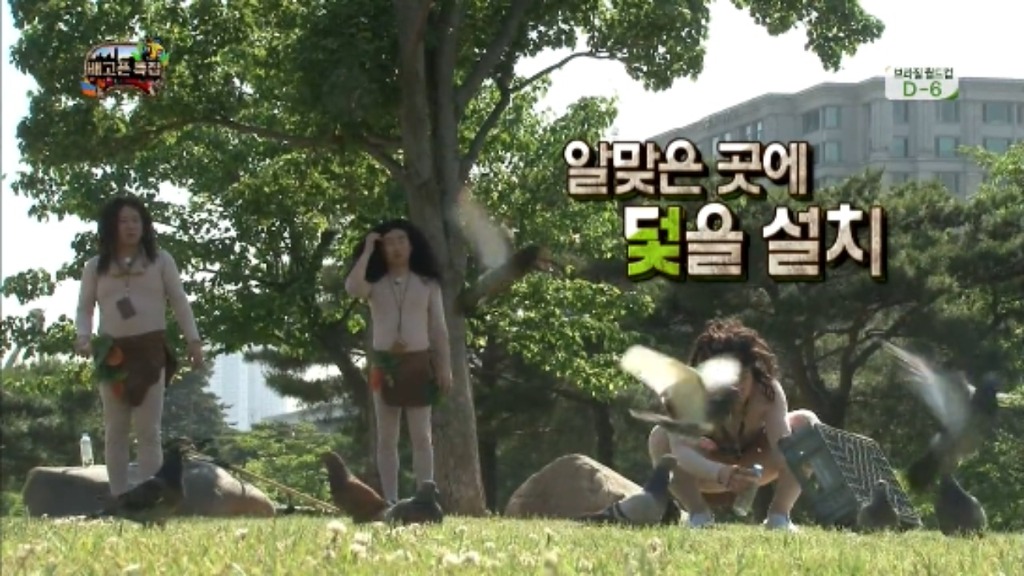 [무한도전] 무한족 서울 도심에서 비둘기 잡기 jpg | 인스티즈