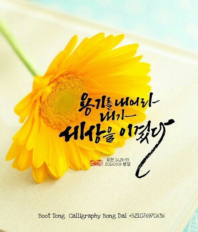 화요일 이미지
