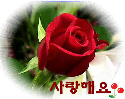 265B254C549BED1E11A315