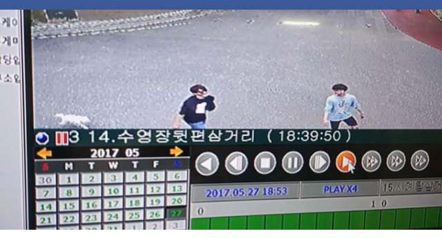 대구에서 남자 2명이 실수로 주인있는 말티즈를 데려갔대! 주인이 애타게 제보바라고있어! | 인스티즈