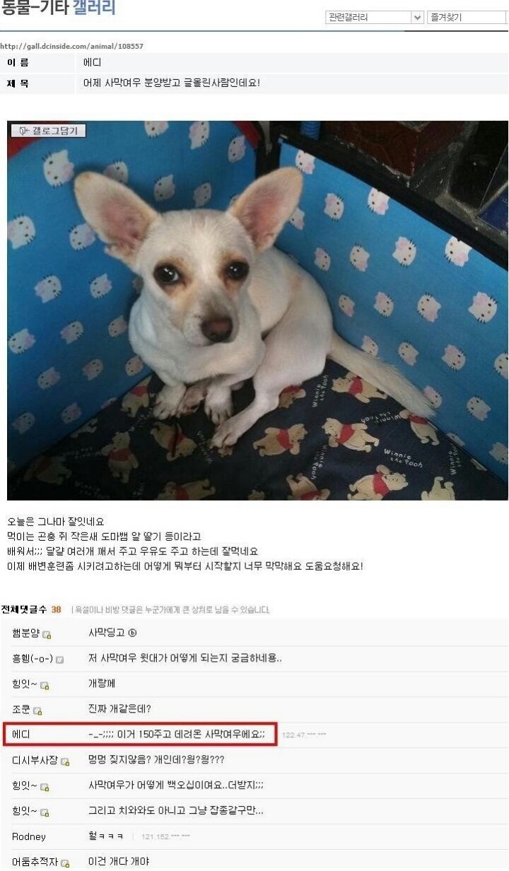 150만원 사막여우... | 인스티즈