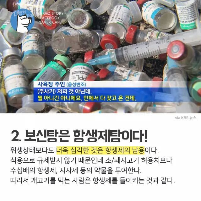개고기를 먹지말아야 하는 설득력있는 이유 | 인스티즈