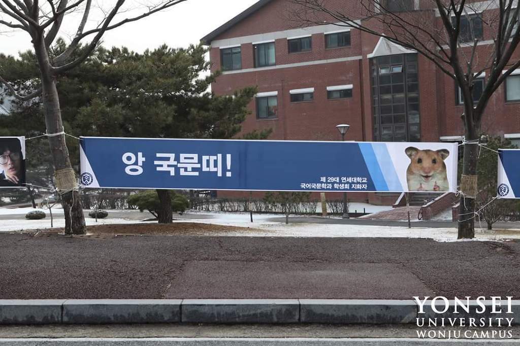 연세대 국문과 클라스.jpg | 인스티즈