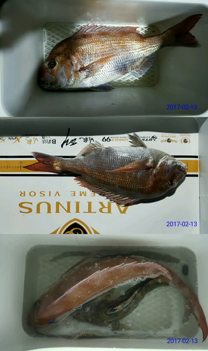 전국선외기 이미지