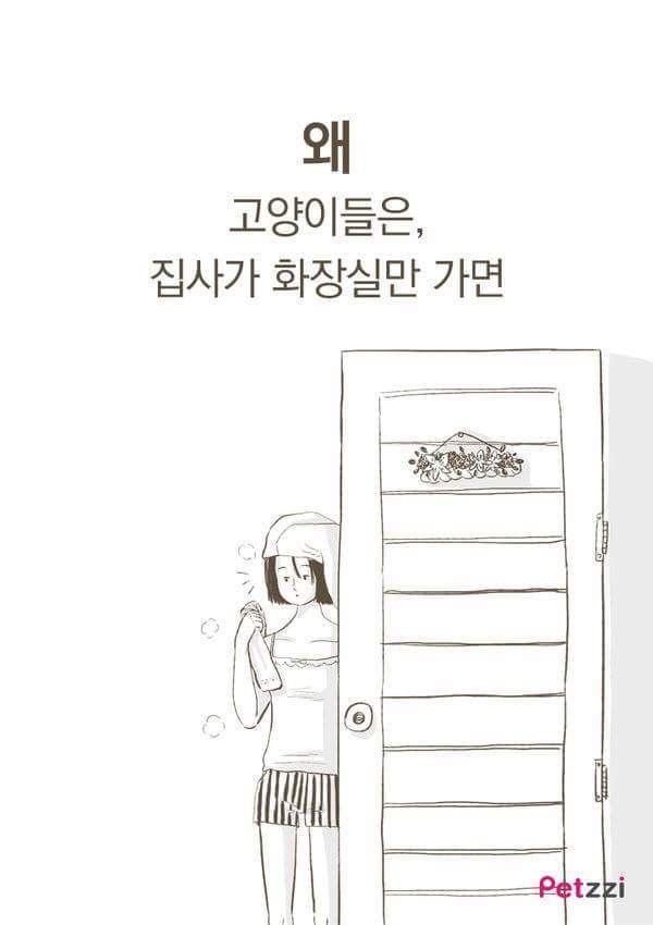 고양이가 화장실 앞에서 기다리고있는 이유(만화).jpg | 인스티즈
