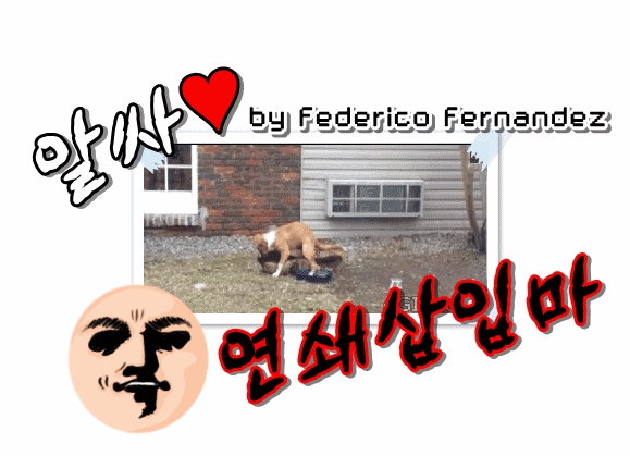 인간이 넘볼 수 없는 자연의 힘.gif | 인스티즈