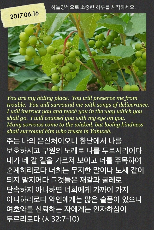 은신처 이미지