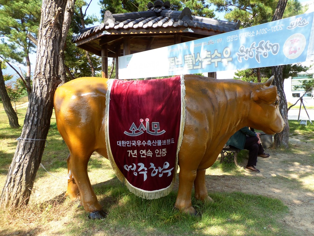 천년인삼 이미지