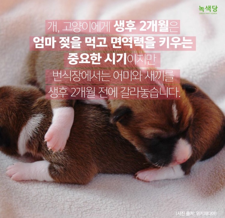 인간의 잔인함 .jpg | 인스티즈
