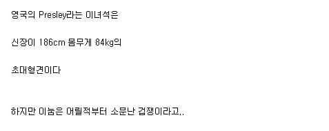 영국에 사는 신장 186cm 대형견 | 인스티즈