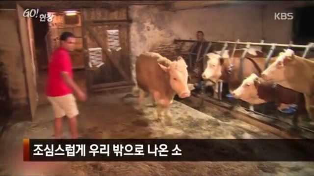 감사함을 아는 동물 | 인스티즈