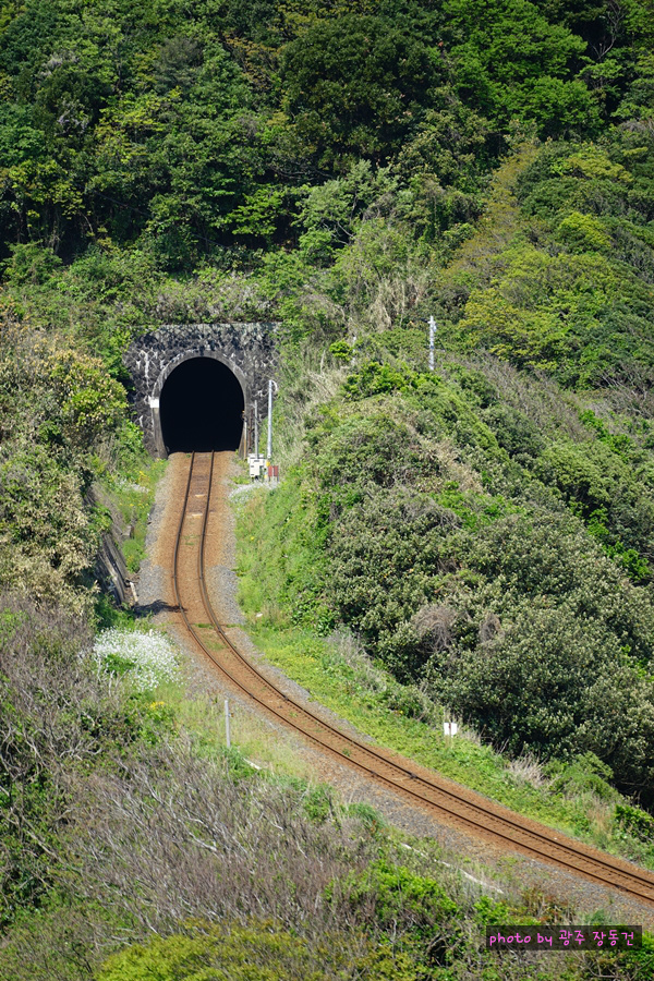 일본 바이크 투어 D+79,80 | 인스티즈