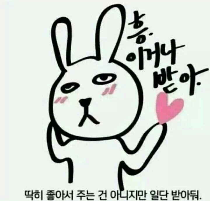 코코들 이미지
