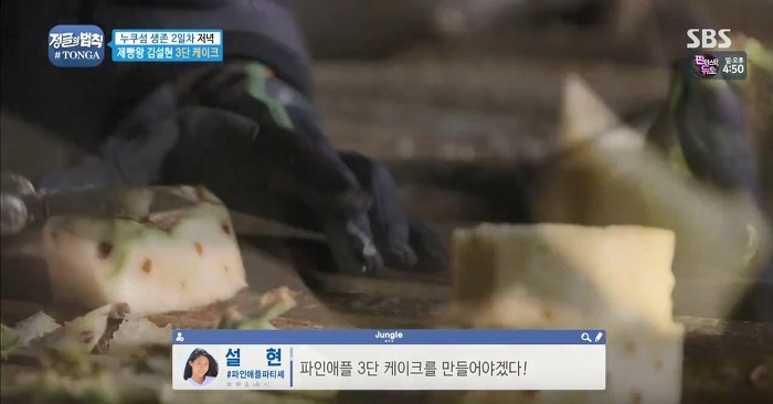 정글에서 생일을 맞은 찬성을 위해 설현이 만든 파인애플 3단케이크.jpg | 인스티즈