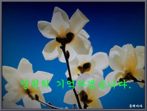 주부마음 이미지