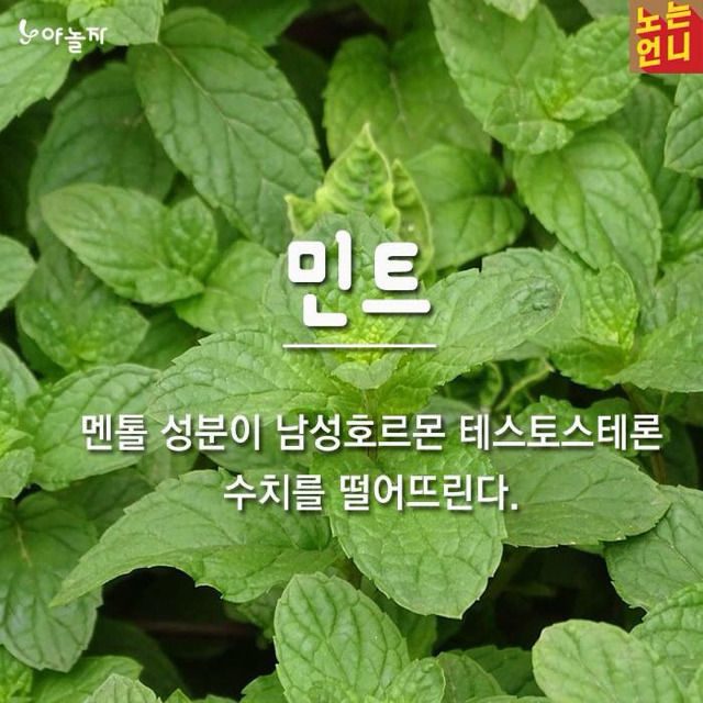 남자가 많이 먹으면 안좋은 음식 | 인스티즈