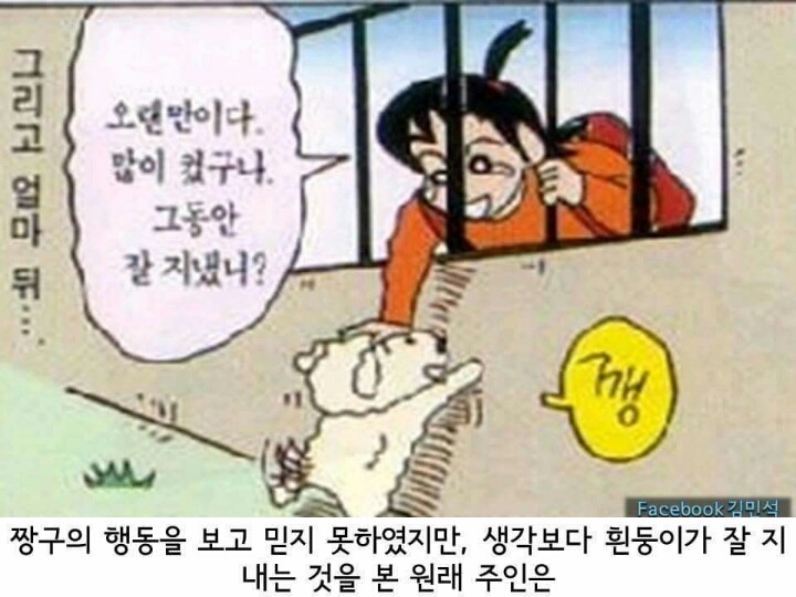 흰둥이 출생이야기 jpg | 인스티즈