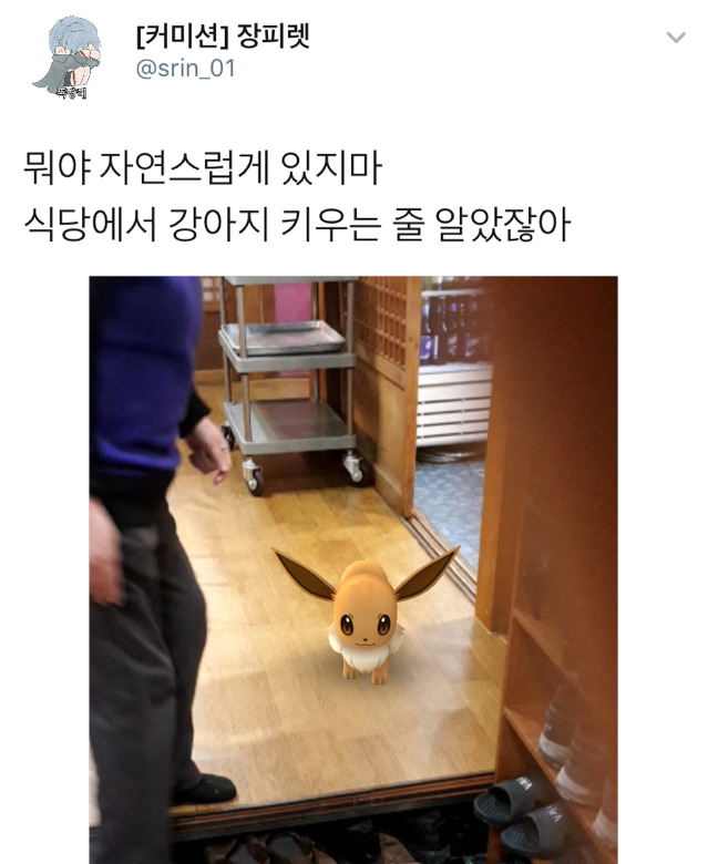 뭐야 자연스럽게 있지 마 (포켓go) | 인스티즈