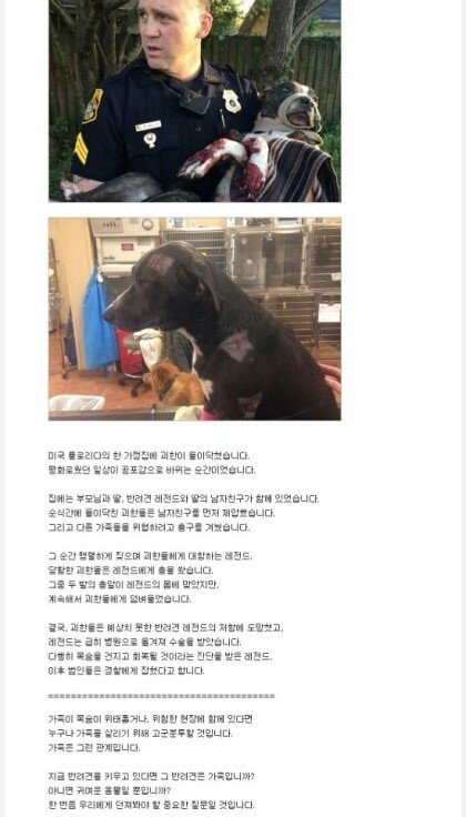 주인을 지킨 개 | 인스티즈