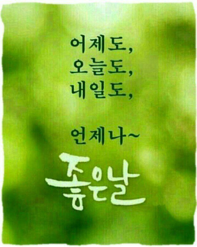 부르네 이미지