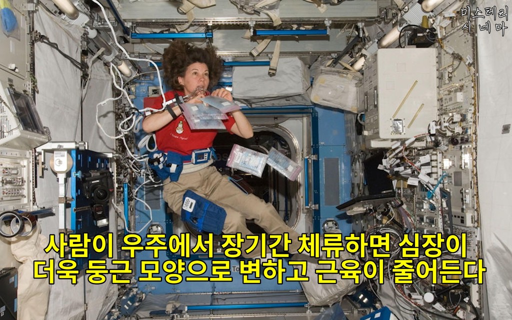 우주에 대해 몰랐던 사실들 (1) | 인스티즈
