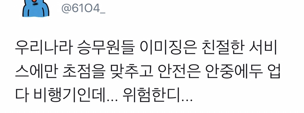 여권이 낮은 나라의 국적기일수록 승무원은 젊고 날씬하다.twt | 인스티즈