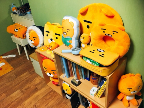라이언 덕후의 방 | 인스티즈