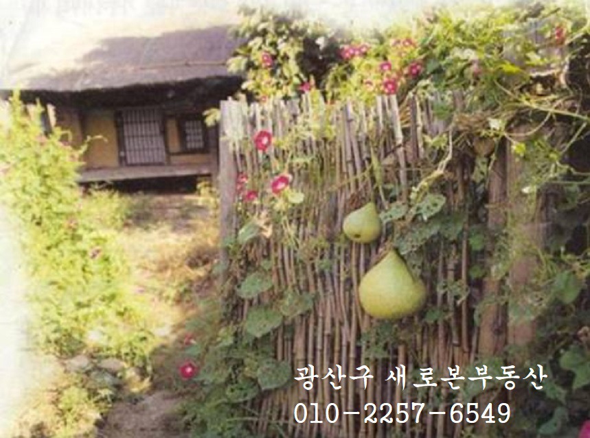 진곡식당 이미지