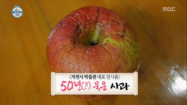 자연사박물관이 따로없는(?) 김제동 하우스jpg | 인스티즈