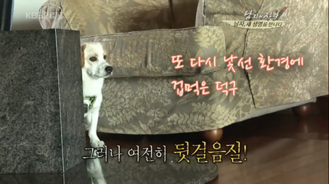 김국진과 반려견 덕구 | 인스티즈