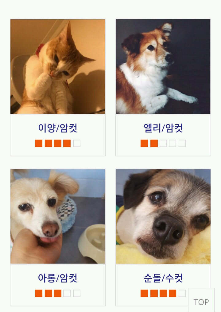 유기동물 입양을 하고 싶은데 아직 준비가 덜 됐어.. 평생 책임 질 준비가 안됐어...그런 당신을 위한 유기동물 대부,대모 후원제도가 있어욥! | 인스티즈