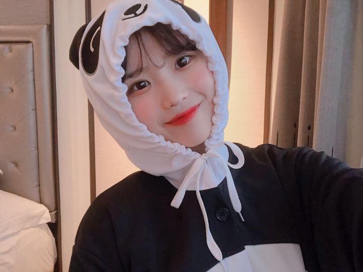 프로미케이크 이미지