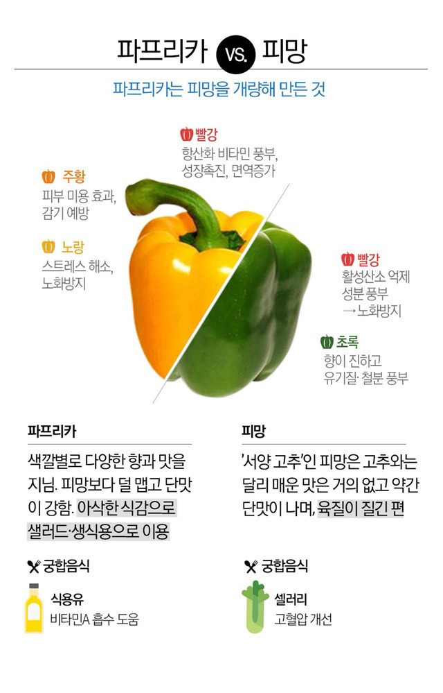 파프리카와 피망의 차이 | 인스티즈