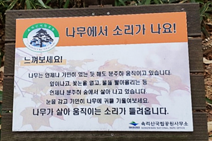 나무소리 이미지