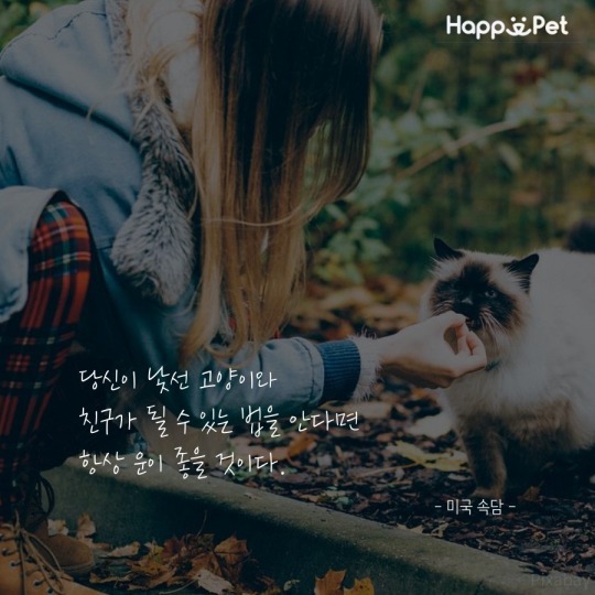 고양이를 사랑하는 사람들이 남긴 명언 | 인스티즈