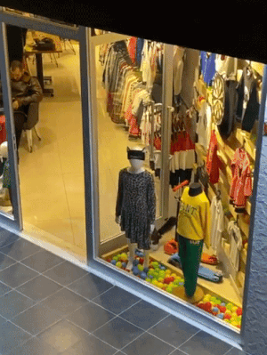 옷가게에 들어와 우다다하는 냥이.gif | 인스티즈