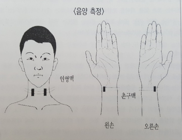 진맥 이미지