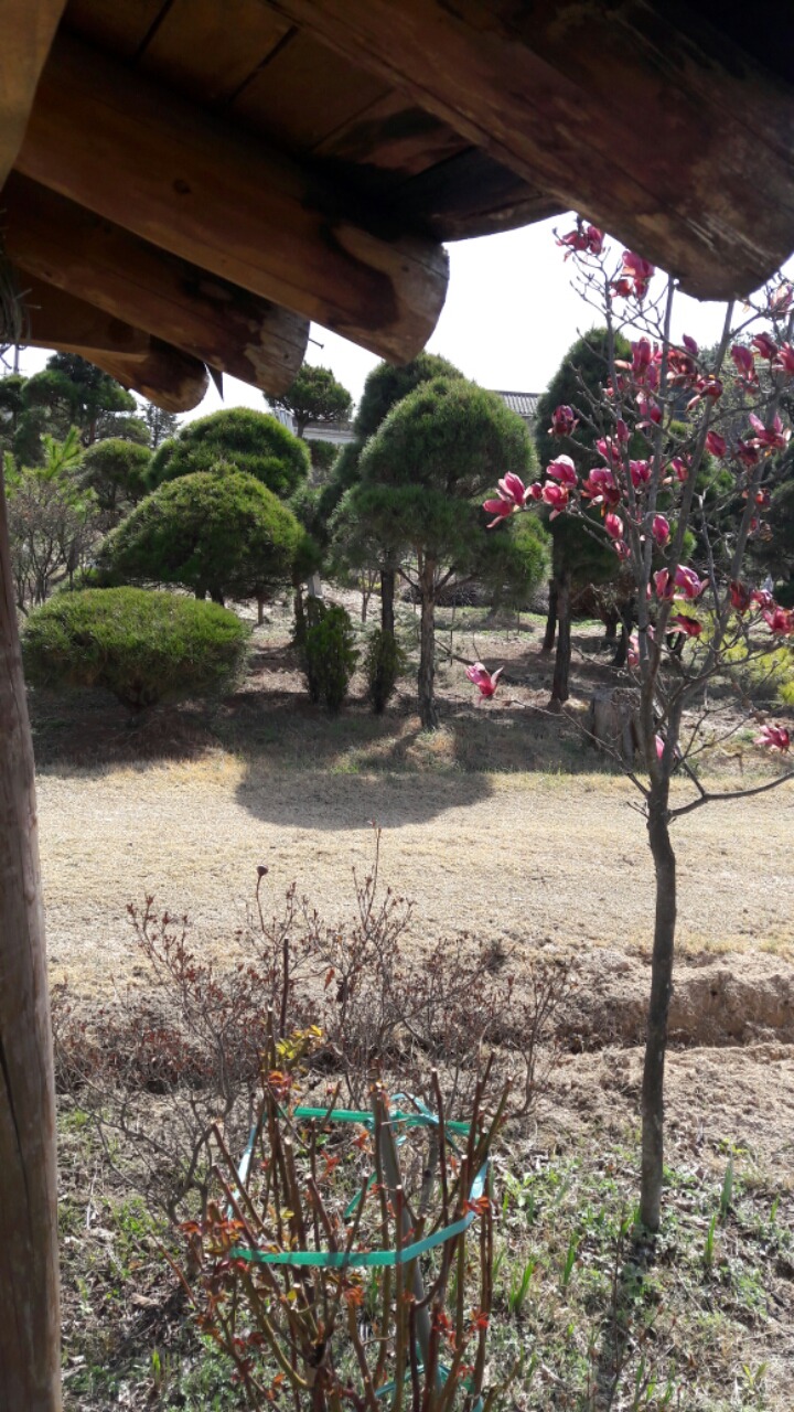 수림조경 이미지