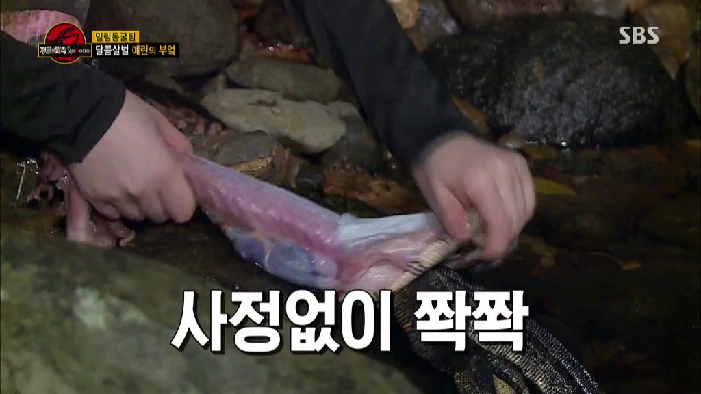도마뱀 가죽 벗기는 여자아이돌 | 인스티즈