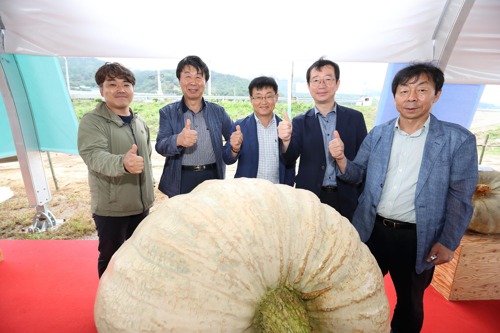 호박 무게가 무려 265kg..역대 최고 무게 호박 등장 | 인스티즈