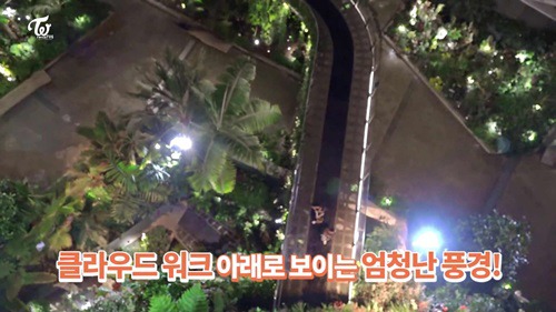 높은곳 올라간 트와이스 멤버들 반응 gif | 인스티즈
