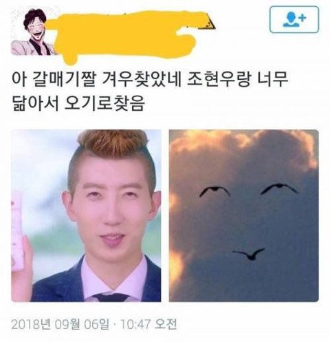 조현우 레전드 짤 | 인스티즈