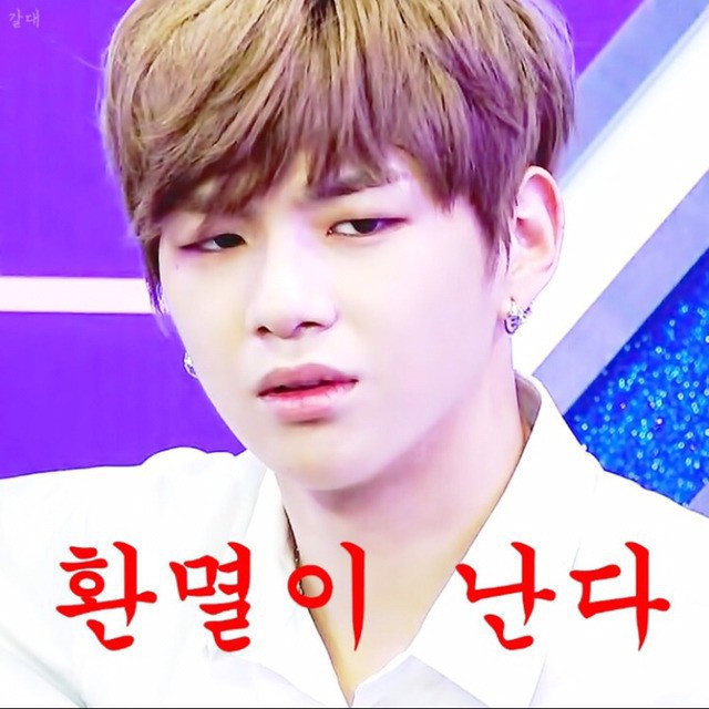 공카 이미지