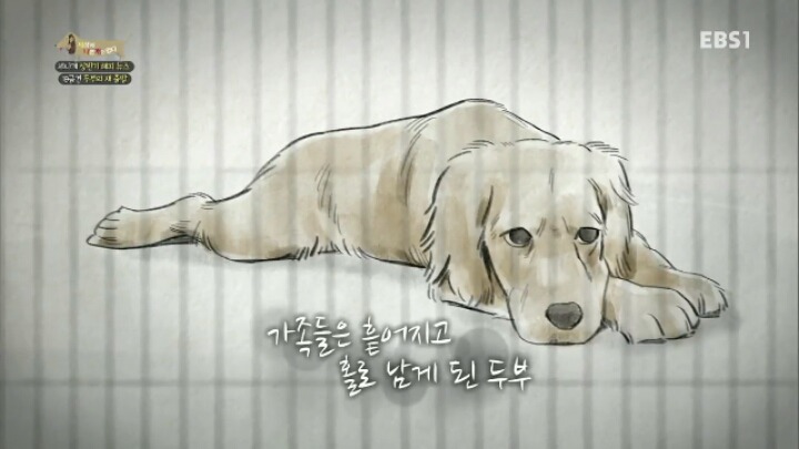 [세나개] 시도때도 없이 마운팅하고 똥을 먹는 두부의 문제 행동 고치기 -1.jpg | 인스티즈